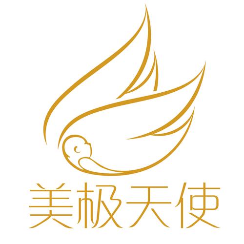 深圳美极天使国际商务咨询有限公司 综合性商务咨询服务的专业力量
