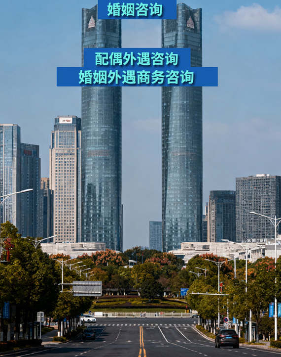 配偶出轨咨询 安徽湖州地区商务信息服务费用解析